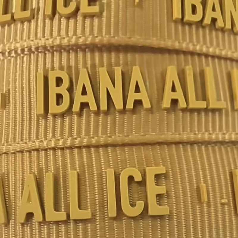 Silicone Direct Printing on Webbing